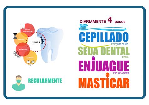 Consejo Semanal Prevenci N De La Caries