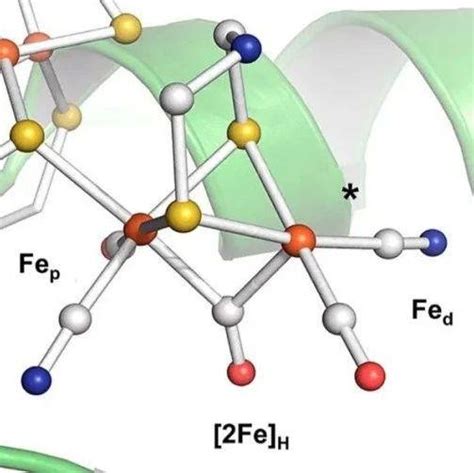 【chemrev】单原子（铁基）催化剂：合成与应用 知乎