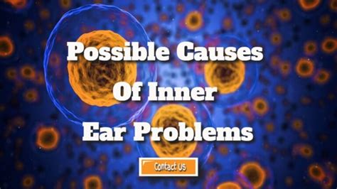 What Are The Possible Causes Of Inner Ear Problems Orca Digitals