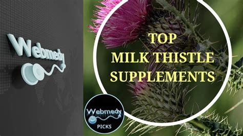 Best Milk Thistle Supplement For 2025 Milk Thistle For Liver