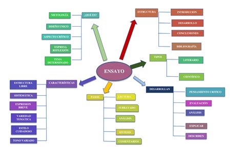 Los organizadores gráficos 2 Organizador gráfico Qué es un ensayo