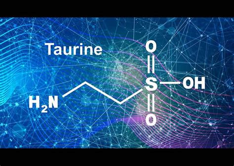 The Wide-Ranging Health Benefits of Taurine