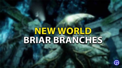 How To Get Briar Branches In New World? - Gamer Tweak