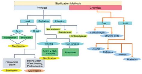 Sterilization Physical And Chemical Methods Dry Heat Moist Heat