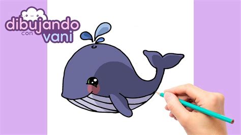 Como Dibujar Una Ballena Paso A Paso Dibujos Para Dibujar Imagenes