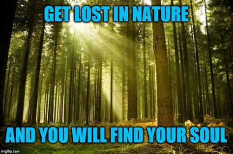 Get Lost In Nature Imgflip