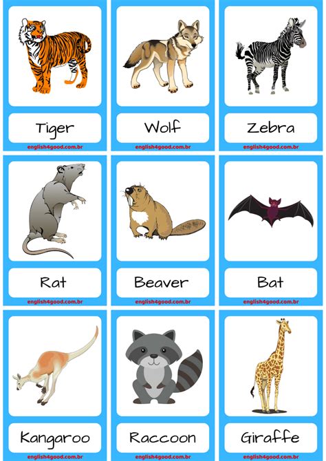 Wild Animals Flashcards - English4Good - Vocabulary Time