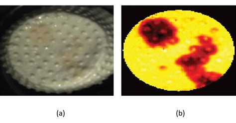 Fingerprinting Food