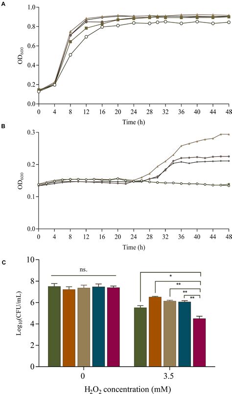 Frontiers Enhanced Antioxidant Activity In Streptococcus Thermophilus