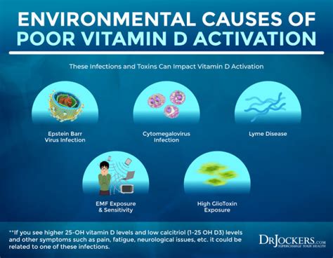 Vitamin D Resistance And Autoimmunity