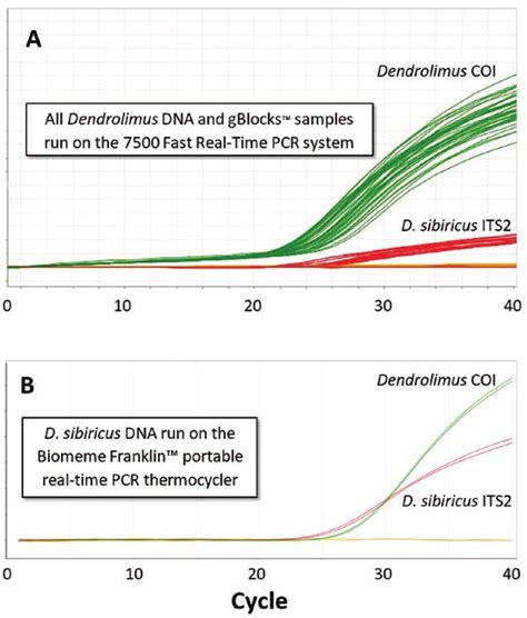 Example Of Validation Results For The Alternative Coi Its Triplex