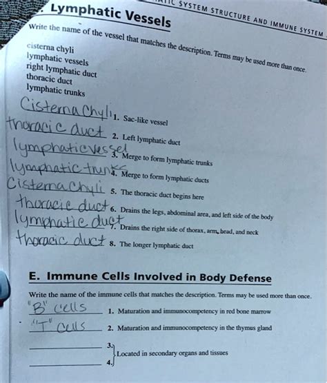 SOLVED: help with all Lymphatic Vessels cisterna chyli lymphatic vessels right lymphatic duct ...