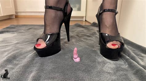 Zen And Cat GIANTESS SHRINKS CUCK HUSBAND And EATS HIM With Big Pussy ManyVids