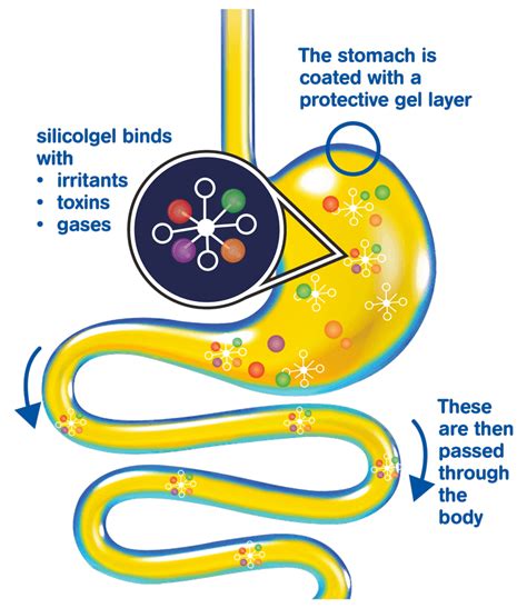 Silicol Silicol®gel For Gastrointestinal Disorders