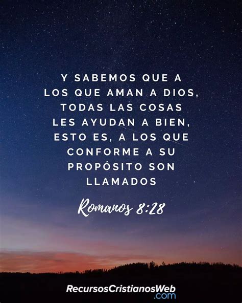 Romanos 8 28 Y Sabemos Que A Los Que Aman A Dios