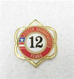 Fgp Years Of Service Recognition Pin Year