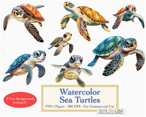 Watercolor Sea Turtle Clipart Cute Aquatic Life Digital Art Ocean