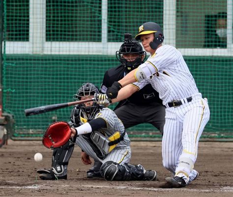 阪神 ドラフト1位森下翔太 オープン戦デビューは無安打に終わる 阪神タイガース スポーツニュースまとめブログ