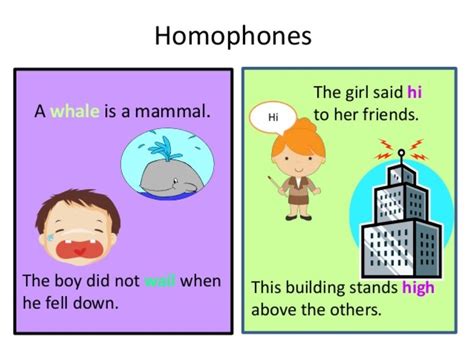 Homophones Are Words That Sound The Same But Have Different Spellings And Meanings Proofreading