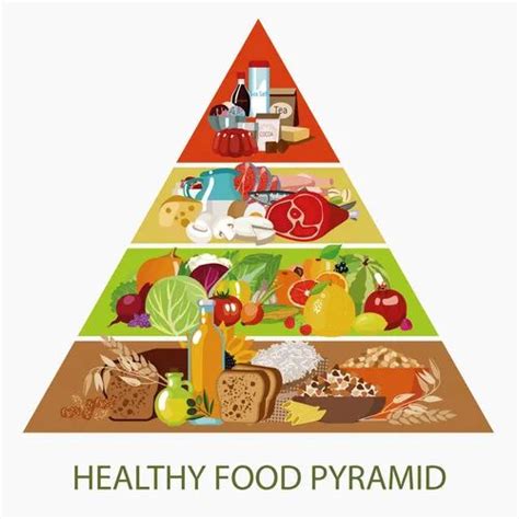 Healthy Food Pyramid Infographic Pictures Vector Image Organic Nutrition Healthy Organic Food