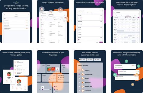 PhenoTop Plants App | Breeding App | Phenome Networks