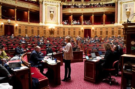 Le Budget De La S Curit Sociale Arrive Au S Nat Qui A Peu De Marge De