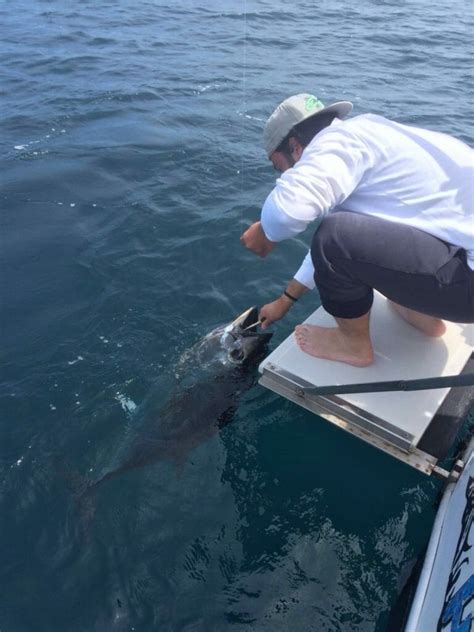 Pesca Al Tonno Rosso Esperienza Da Brivido Per Veri Appassionati