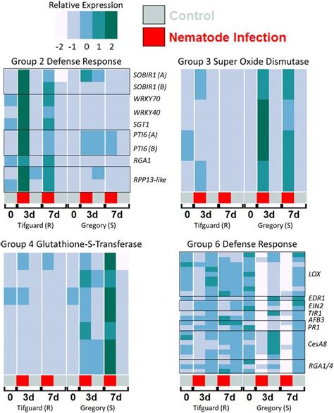 Expression Heatmaps Of Individual Differentially Expressed Genes From