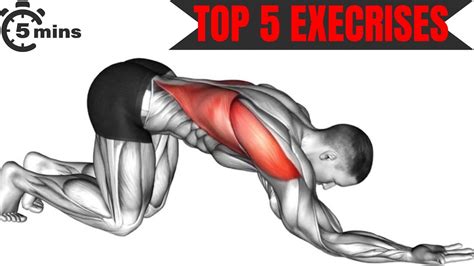 5 Best Back Exercises For A Stronger And Healthier Spine Ultimate