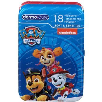 Dermo Care Pflaster Soft Sensitive Paw Patrol St Online Bestellen