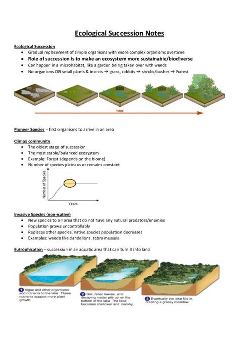 Ecosystem Pdf Notes 160978 Ecological Succession Notes Handout