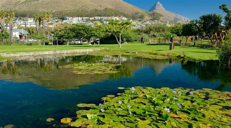 Green Point Park Tours - Book Now | Expedia