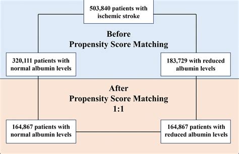 Normal Albumin Levels