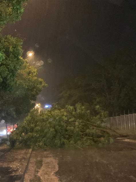 Chuva forte em Teresina causa alagamentos derruba árvores e deixa