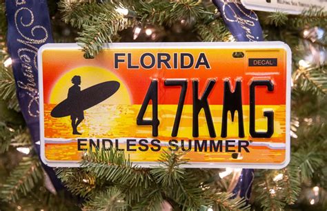 These Are The Top 10 Most Popular Specialty License Plates In Bay County And Florida