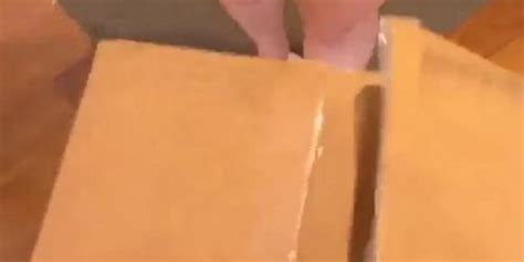 Thecollegestripper Nude Influencer Models Tnaflix