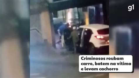 Vídeo Criminosos roubam carro batem na vítima e levam cachorro em SP