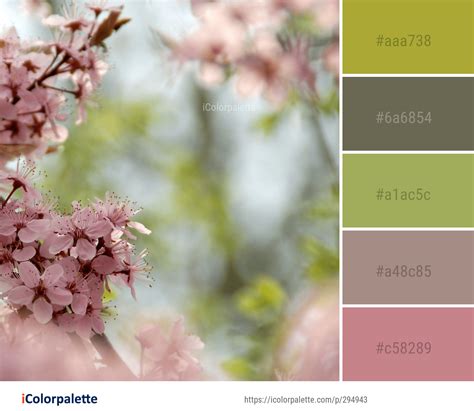 Color Palette Ideas From 1806 Blossom Images IColorpalette Colour