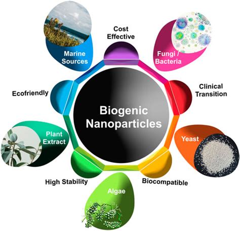 Frontiers Biofabrication Of Nanoparticles Sources Synthesis And