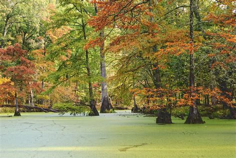 Mingo National Wildlife Refuge In Puxico Missouri Usa Flickr