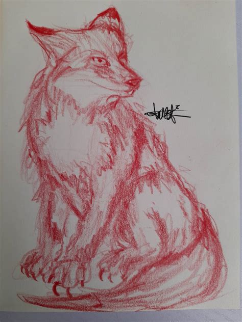 Little Red Fox by PolillaBoreal on DeviantArt