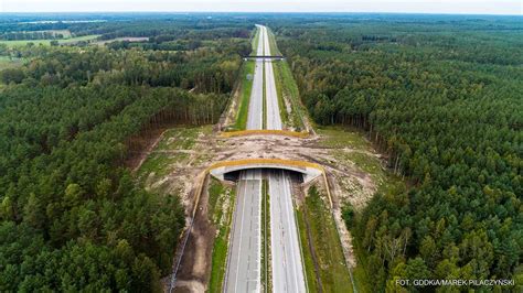 Budowa odcinka nr 2 autostrady A18 w Lubuskiem zakończona KOBYLARNIA S A