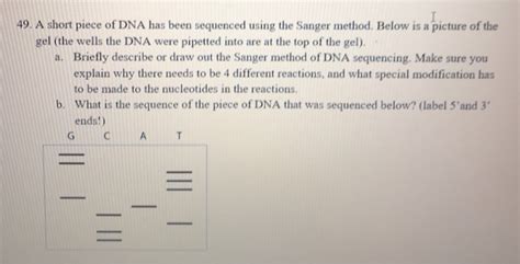 Solved 49 A Short Piece Of DNA Has Been Sequenced Using The Chegg