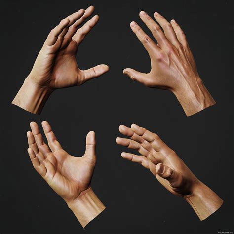 Hand Anatomy Study | Andor Kollar - Character Artist