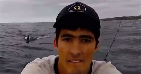 Great White Shark Attacks Kayaker And Chases Him In Terrifying Footage