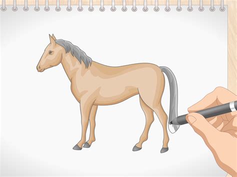 Imagens De Cavalos Para Desenhar - 7