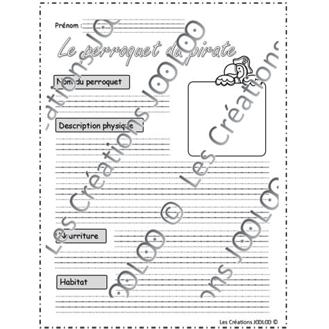 Criture Descriptive Dirig E Perroquet De Pirate