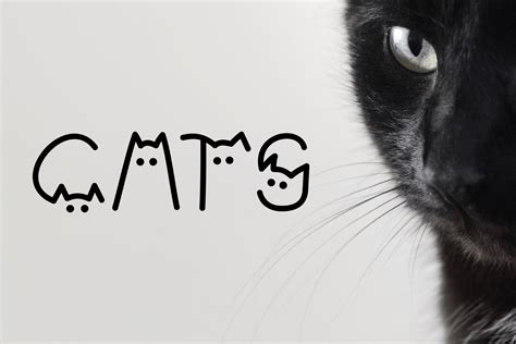 Cats Font By Daniil Toropov · Creative Fabrica