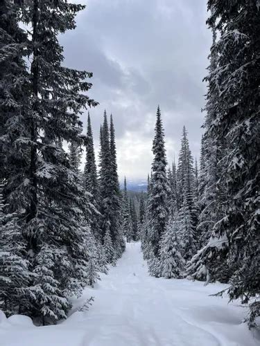 Best Cross Country Skiing Trails In British Columbia Alltrails