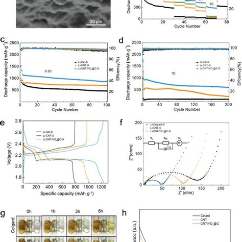 Schematic Of Synthesis Of Voxc Yolk‐shell Nanospheres By Biomimicking